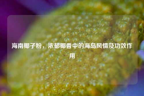 海南椰子粉,浓郁椰香中的海岛风情及功效作用