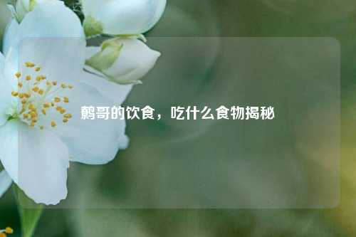 鹩哥的饮食，吃什么食物揭秘