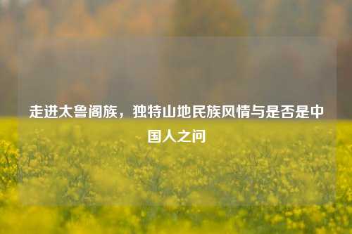 走进太鲁阁族,独特山地民族风情与是否是中国人之问