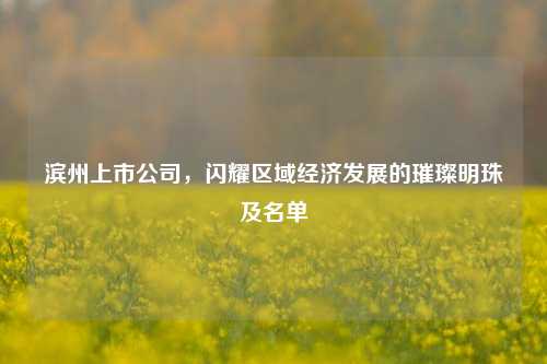 滨州上市公司,闪耀区域经济发展的璀璨明珠及名单