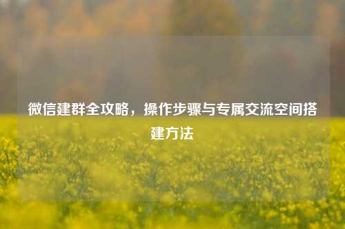 微信建群全攻略,操作步骤与专属交流空间搭建方法