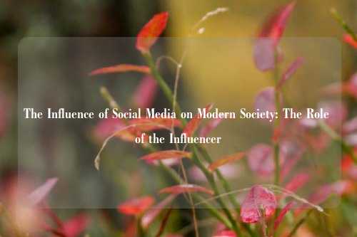 The Influence of Social Media on Modern Society: The Role of the Influencer