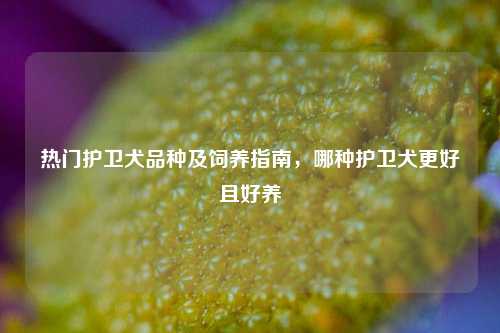 热门护卫犬品种及饲养指南，哪种护卫犬更好且好养