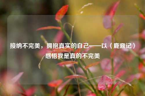 接纳不完美,拥抱真实的自己——以〈鹿鼎记〉感悟我是真的不完美