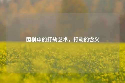 围棋中的打劫艺术,打劫的含义