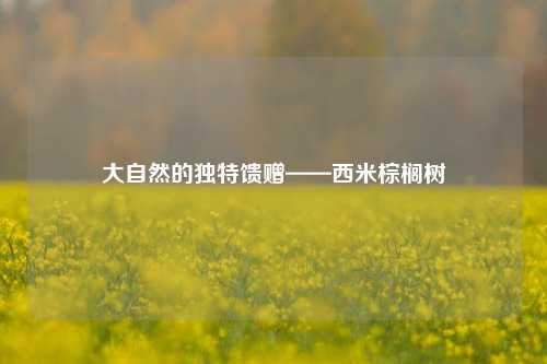 大自然的独特馈赠——西米棕榈树