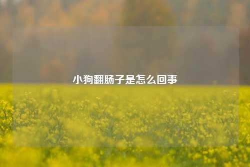 小狗翻肠子是怎么回事