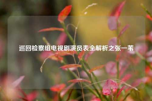 巡回检察组电视剧演员表全解析之张一苇