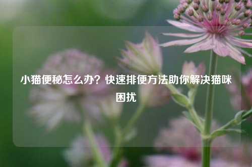 小猫便秘怎么办?快速排便方法助你解决猫咪困扰