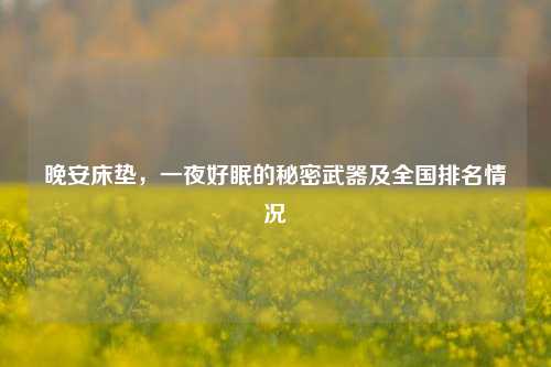晚安床垫，一夜好眠的秘密武器及全国排名情况