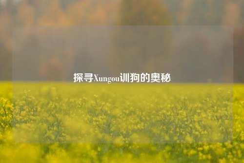 探寻Xungou训狗的奥秘