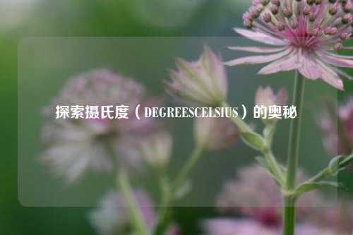 探索摄氏度（DEGREESCELSIUS）的奥秘