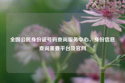 全国公民身份证号码查询服务中心,身份信息查询重要平台及官网