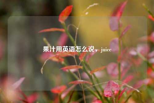 果汁用英语怎么说,juice