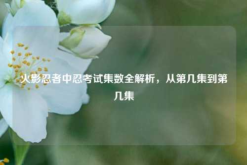 火影忍者中忍考试集数全解析,从第几集到第几集