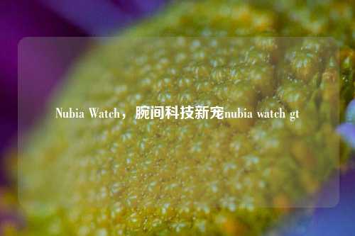 Nubia Watch,腕间科技新宠nubia watch gt