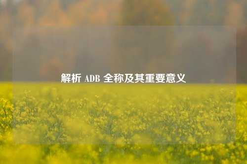 解析 ADB 全称及其重要意义