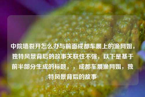 中院墙裂开怎么办与前面成都车展上的渔网姐,独特风景背后的故事关联性不强,以下是基于前半部分生成的标题,,成都车展渔网姐,独特风景背后的故事