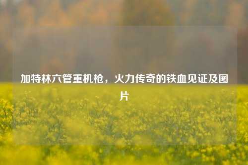 加特林六管重机枪,火力传奇的铁血见证及图片