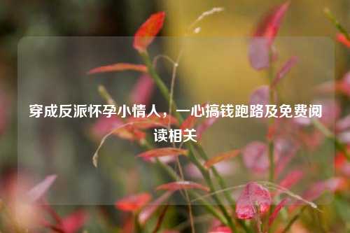 穿成反派怀孕小情人，一心搞钱跑路及免费阅读相关