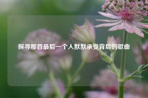 探寻那首最后一个人默默承受背后的歌曲