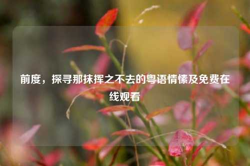 前度,探寻那抹挥之不去的粤语情愫及免费在线观看