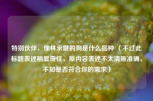 特别伙伴,像林永健的狗是什么品种 (不过此标题表述稍显奇怪,原内容表述不太清晰准确,不知是否符合你的需求)