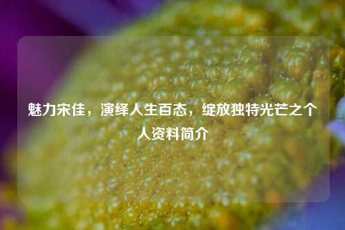 魅力宋佳,演绎人生百态,绽放独特光芒之个人资料简介