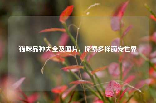 猫咪品种大全及图片，探索多样萌宠世界