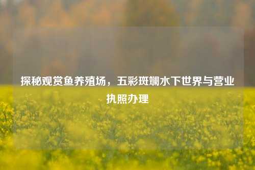 探秘观赏鱼养殖场,五彩斑斓水下世界与营业执照办理