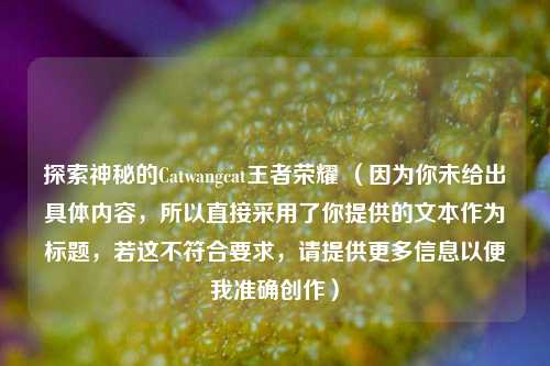 探索神秘的Catwangcat王者荣耀 （因为你未给出具体内容，所以直接采用了你提供的文本作为标题，若这不符合要求，请提供更多信息以便我准确创作）