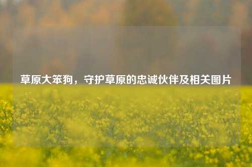 草原大笨狗，守护草原的忠诚伙伴及相关图片