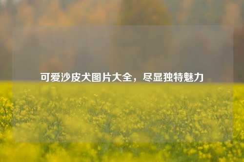 可爱沙皮犬图片大全，尽显独特魅力