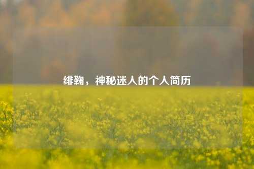绯鞠,神秘迷人的个人简历