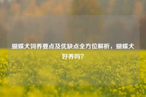 蝴蝶犬饲养要点及优缺点全方位解析，蝴蝶犬好养吗？