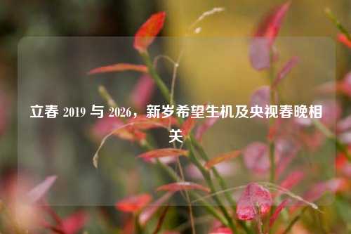 立春 2019 与 2026,新岁希望生机及央视春晚相关