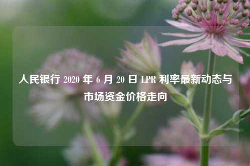 人民银行 2020 年 6 月 20 日 LPR 利率最新动态与市场资金价格走向