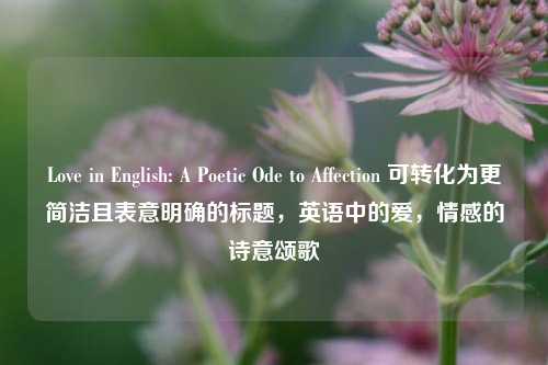 Love in English: A Poetic Ode to Affection 可转化为更简洁且表意明确的标题,英语中的爱,情感的诗意颂歌