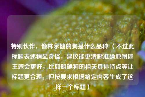 特别伙伴，像林永健的狗是什么品种 （不过此标题表述稍显奇怪，建议能更清晰准确地阐述主题会更好，比如明确狗的相关具体特点等让标题更合理，但按要求根据给定内容生成了这样一个标题）