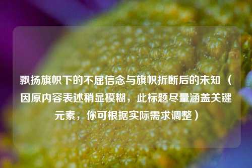飘扬旗帜下的不屈信念与旗帜折断后的未知 （因原内容表述稍显模糊，此标题尽量涵盖关键元素，你可根据实际需求调整）
