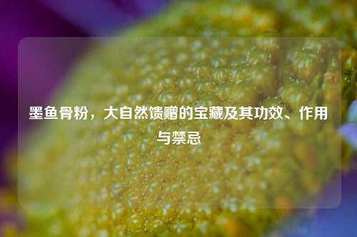 墨鱼骨粉,大自然馈赠的宝藏及其功效、作用与禁忌
