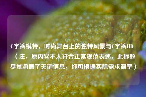 C字裤模特,时尚舞台上的独特风景与C字裤HD (注,原内容不太符合正常规范表述,此标题尽量涵盖了关键信息,你可根据实际需求调整)