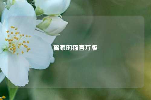 离家的猫官方版