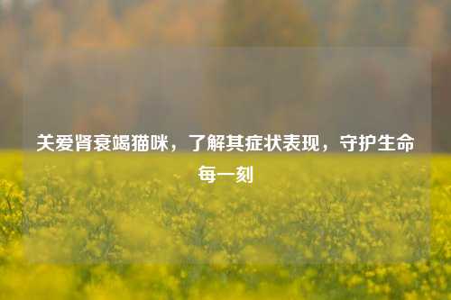 关爱肾衰竭猫咪,了解其症状表现,守护生命每一刻