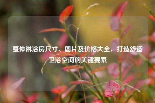 整体淋浴房尺寸、图片及价格大全,打造舒适卫浴空间的关键要素
