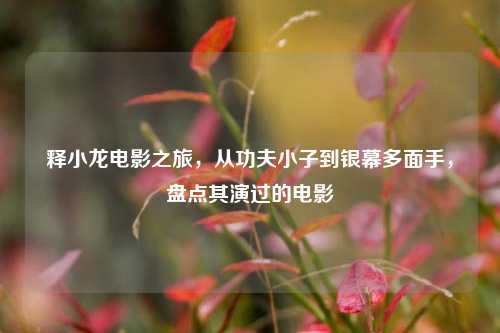 释小龙电影之旅，从功夫小子到银幕多面手，盘点其演过的电影