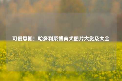 可爱爆棚！哈多利系博美犬图片大赏及大全