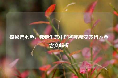 探秘汽水鱼，独特生态中的神秘精灵及汽水鱼含义解析