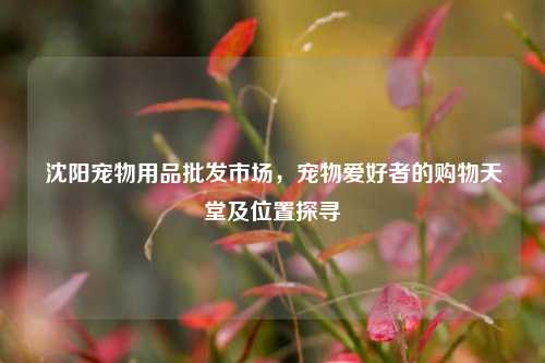 沈阳宠物用品批发市场,宠物爱好者的购物天堂及位置探寻