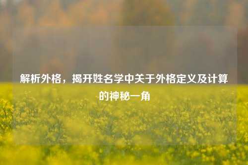 解析外格,揭开姓名学中关于外格定义及计算的神秘一角